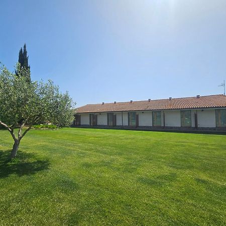 Agriturismo Il Migliarino 里斯佩施雅 外观 照片