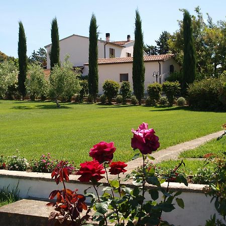Agriturismo Il Migliarino 里斯佩施雅 外观 照片