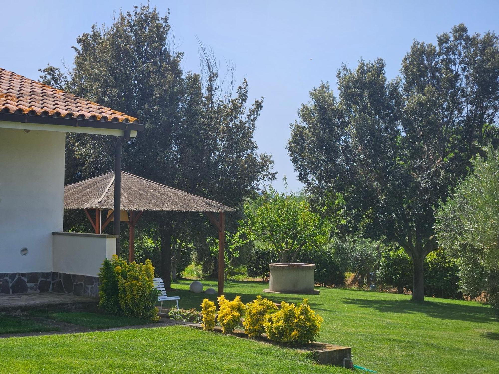 Agriturismo Il Migliarino 里斯佩施雅 外观 照片